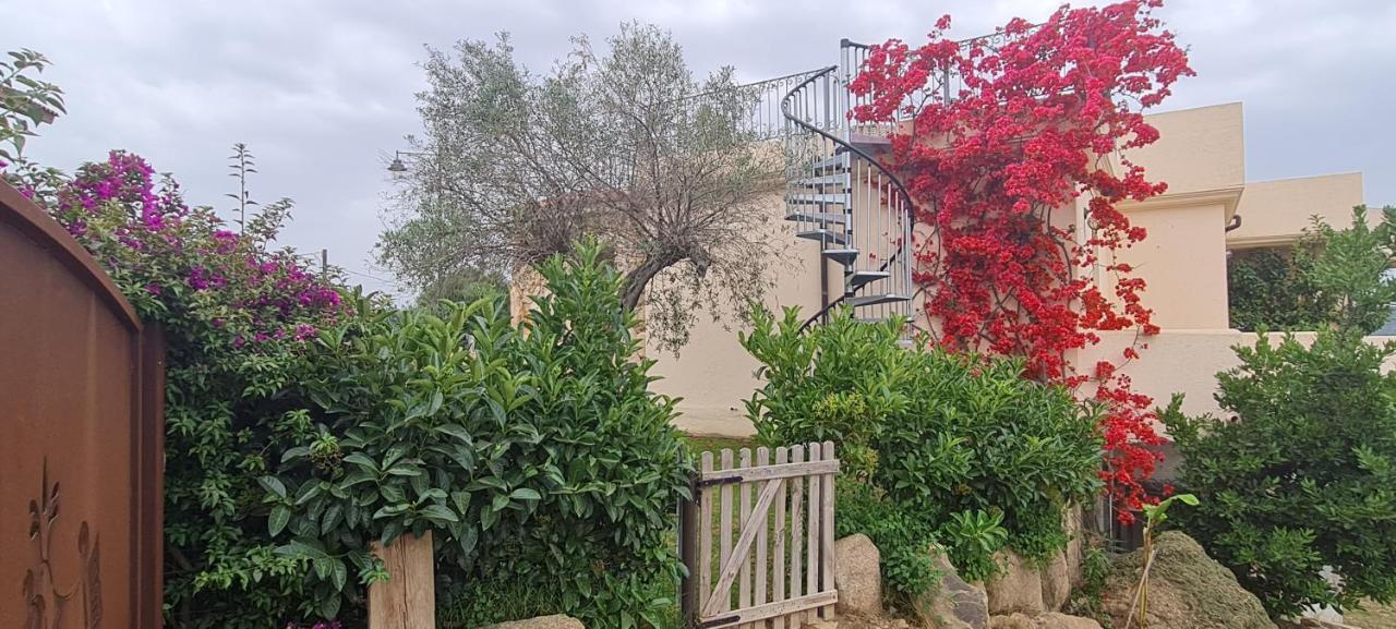Suite Deluxe Olbia Which Wonderful View Exterior foto